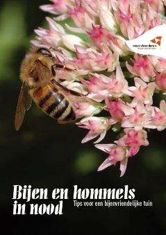 thumbnail -  Bijen en hommels in nood - Tips voor een bijenvriendelijke tuin